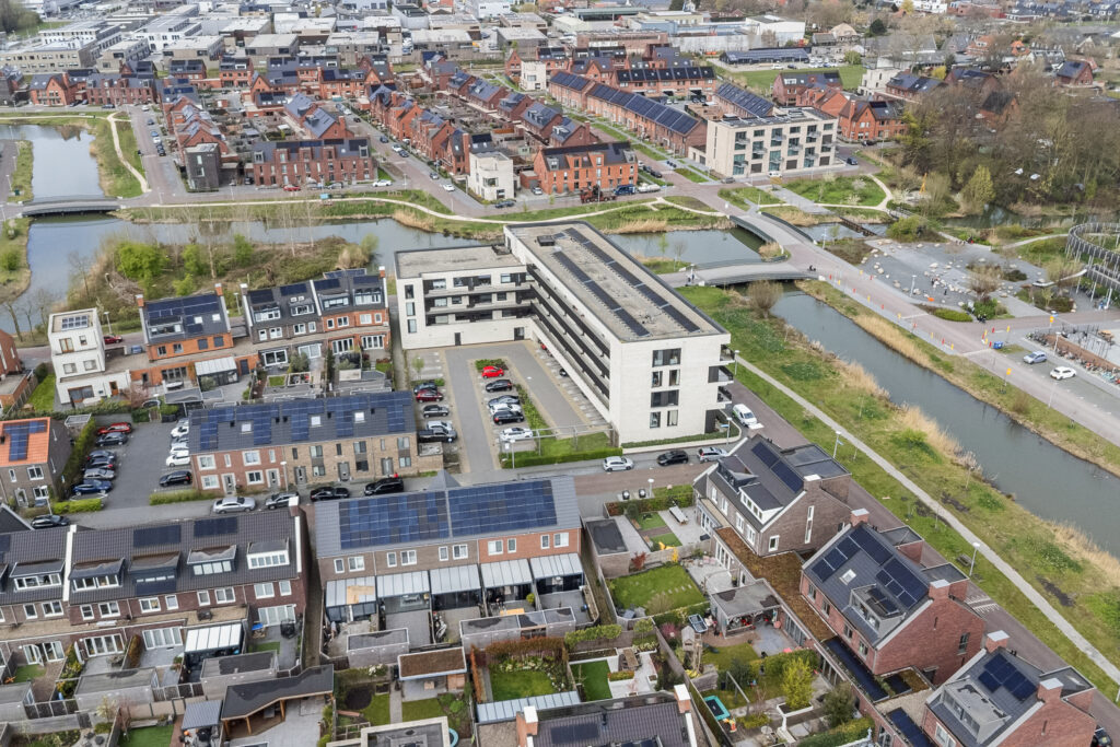 Wilde rucolavliet 1 – Foto 17