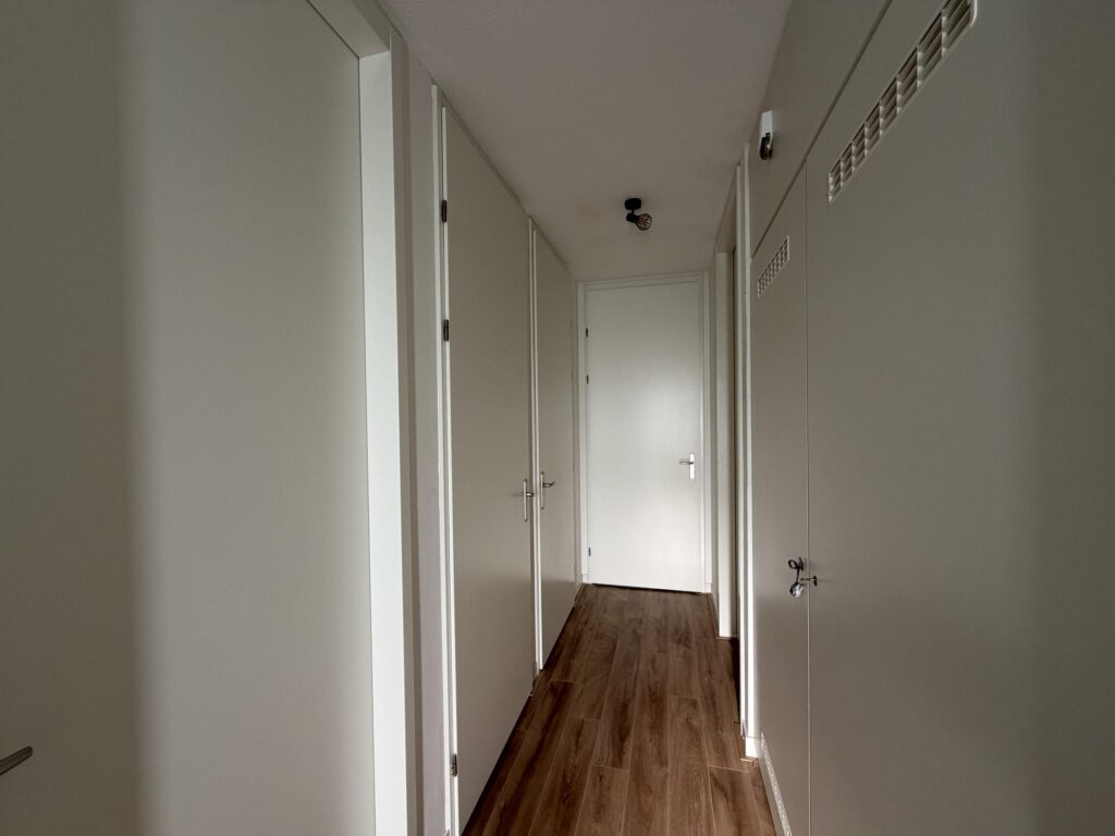 Wilde rucolavliet 1 – Foto