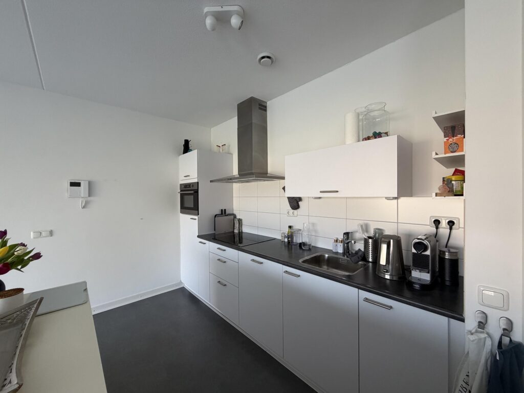 Wilde rucolavliet 1 – Foto 3