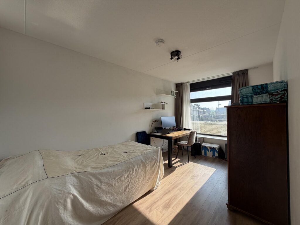 Wilde rucolavliet 1 – Foto 10