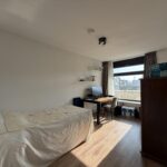 Wilde rucolavliet 1 – Foto 10