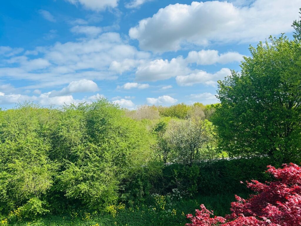 Blieksloot 48 – Foto 34