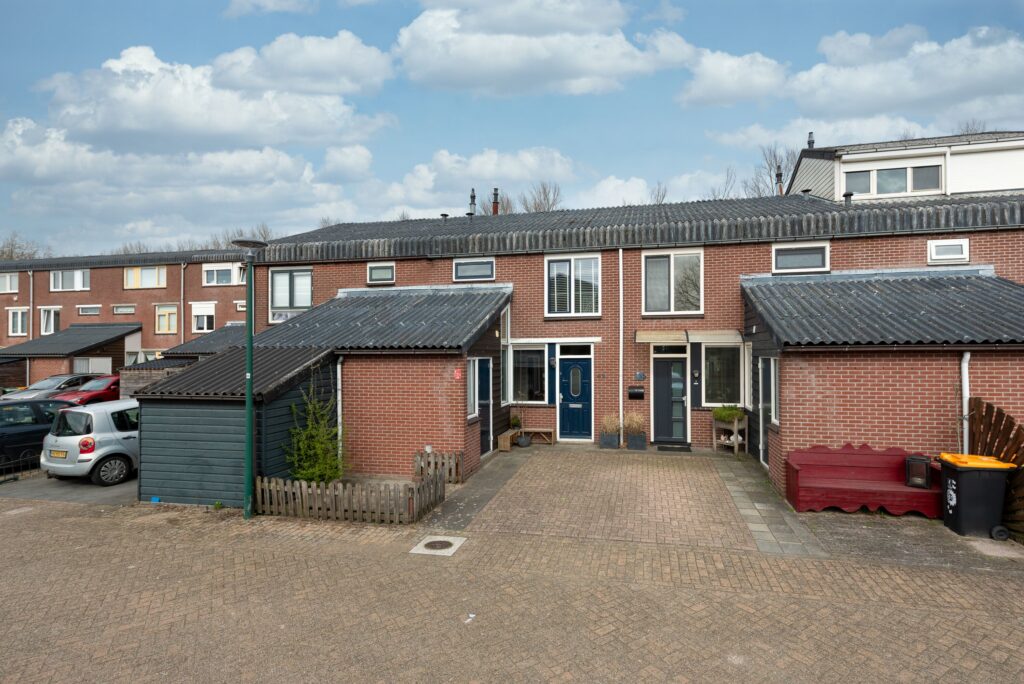 Zebraspoor 62 – Hoofdfoto