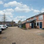 Zebraspoor 62 – Foto 31