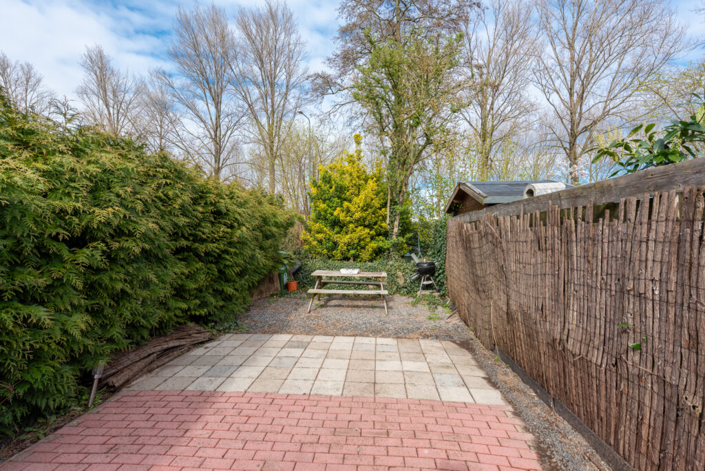 Zebraspoor 62 – Foto 16