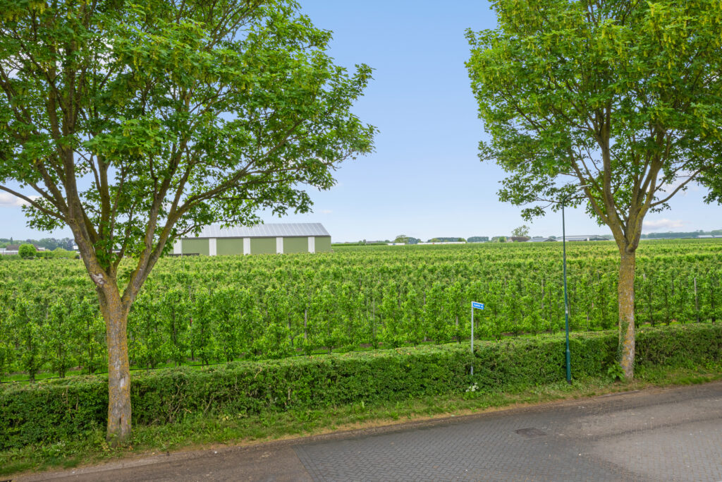 Tuurdijk 3 – Foto 6
