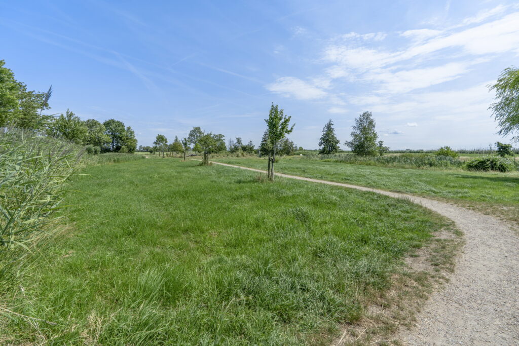 Jacob Barneveldstraat 39 – Foto 41