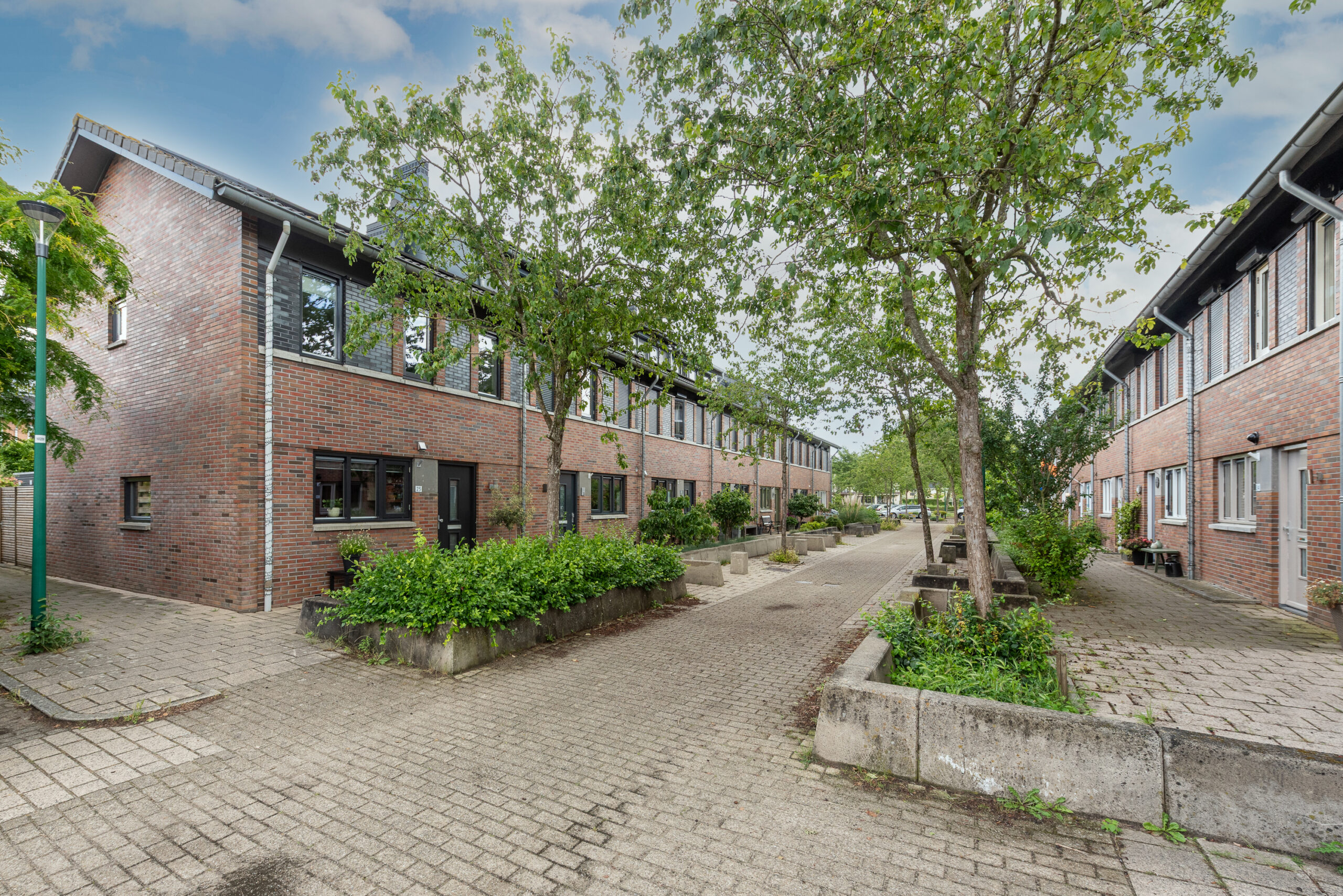 Kastanjehout 25