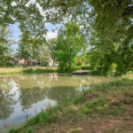 Delftseschans 10 – Foto 27