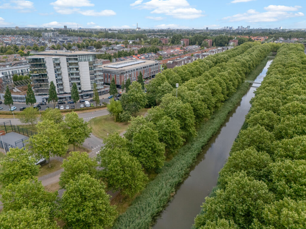Molenpolder 84 – Foto 5
