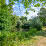 Gazelleweide 11 – Foto 31