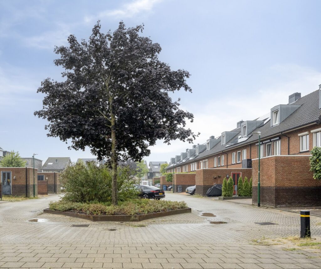 Kanaalmuur 3 – Foto