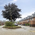 Kanaalmuur 3 – Foto