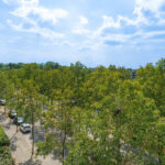 Pyramideboomgaard 408 – Foto 3