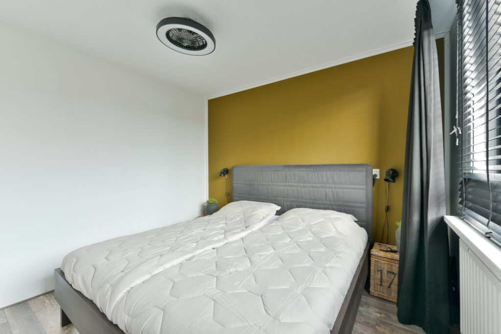 Zebraspoor 543 – Foto 17