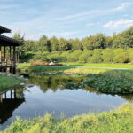 Zilverschoonlaan 44 – Foto 15