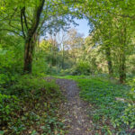 Boomstede 390 – Foto 35