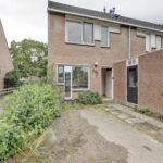 Zebraspoor 548 – Foto 24