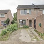 Zebraspoor 548 – Foto