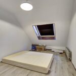 Zebraspoor 548 – Foto 14