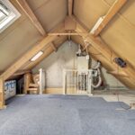 Zebraspoor 548 – Foto 17