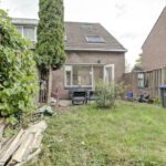 Zebraspoor 548 – Foto 19
