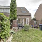 Zebraspoor 548 – Foto 21