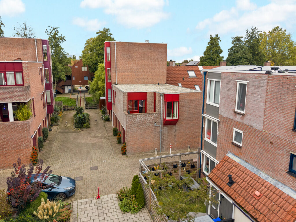 Ringmus 16 – Foto 4