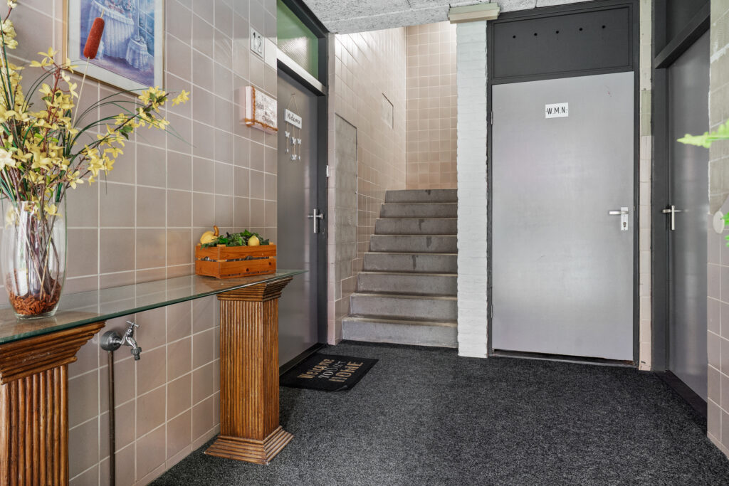 Ringmus 16 – Foto 2