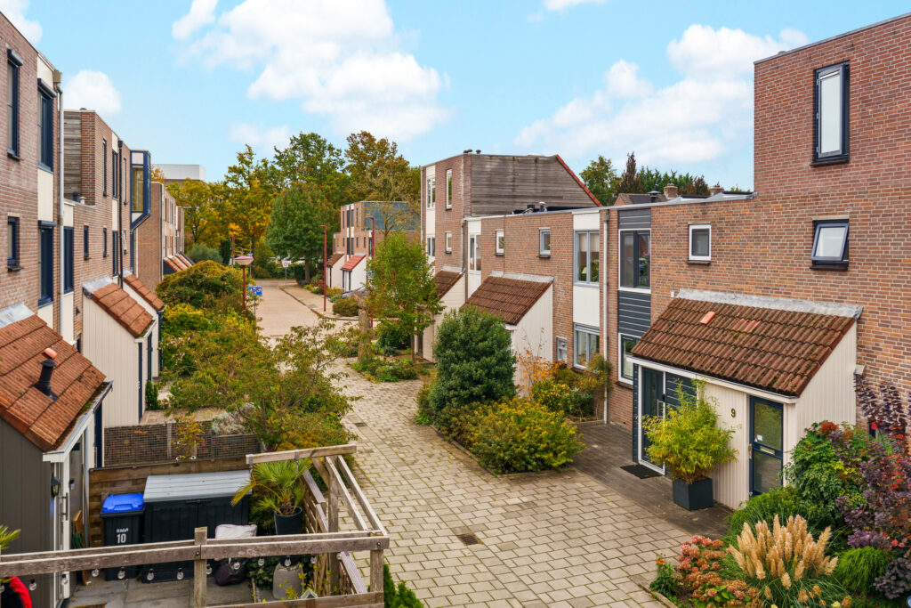 Ringmus 16 – Foto 13