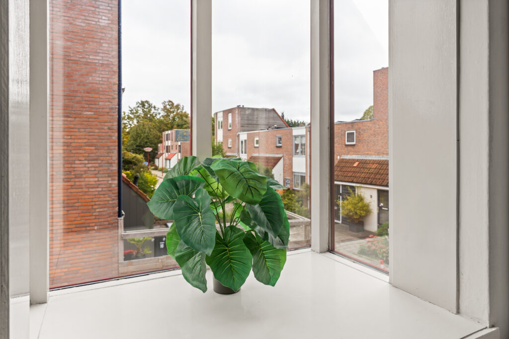 Ringmus 16 – Foto 18