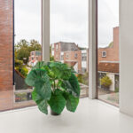 Ringmus 16 – Foto 18