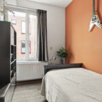 Ringmus 16 – Foto 16