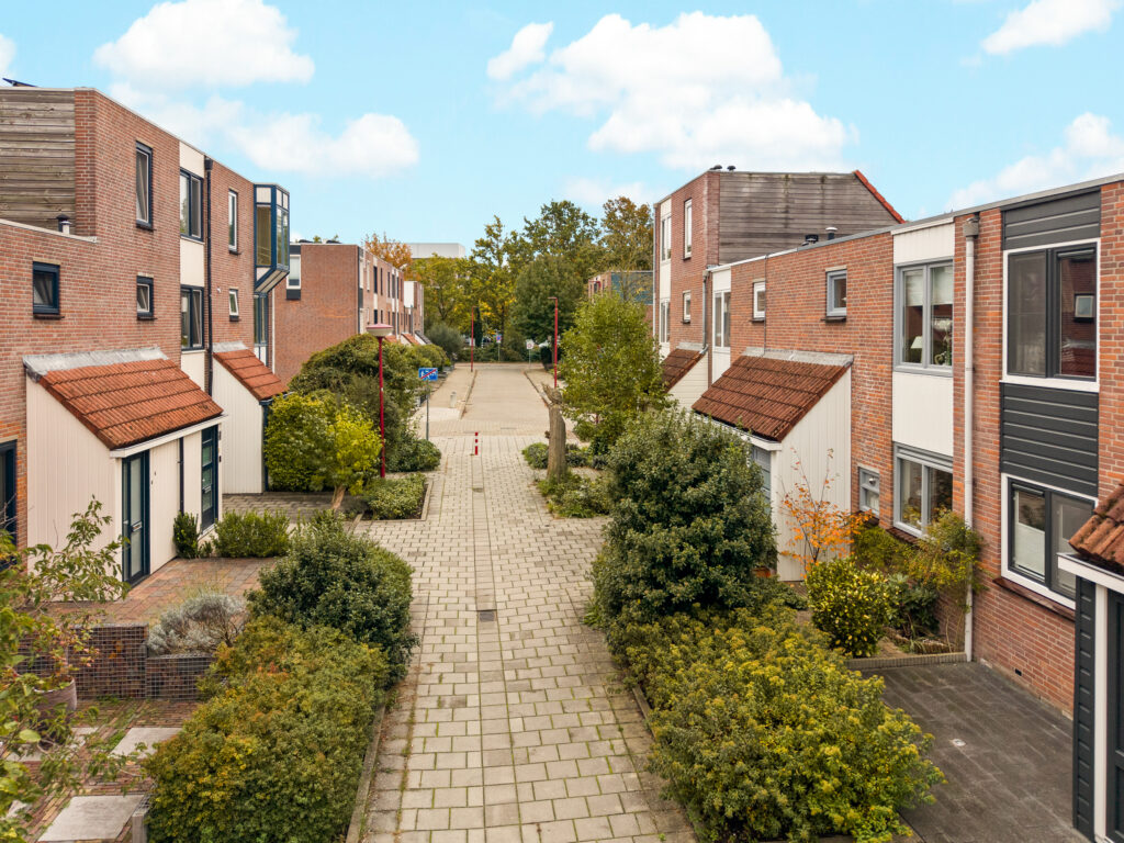 Ringmus 16 – Foto 24