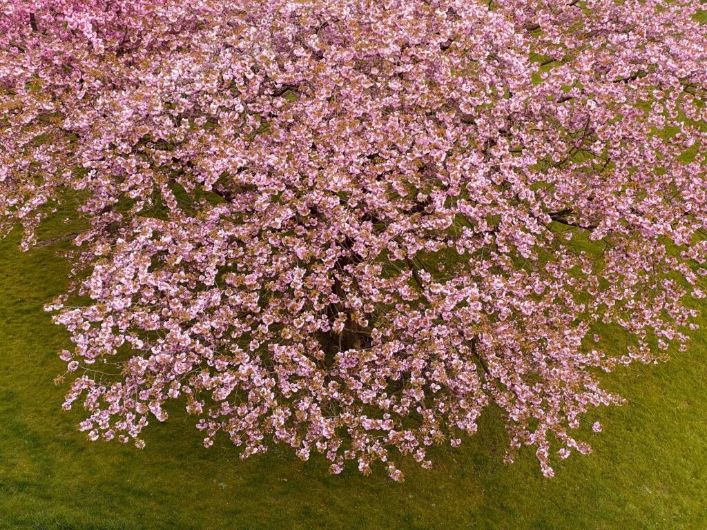 Vechtplantsoen 16-4 – Foto 46