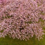 Vechtplantsoen 16-4 – Foto 46