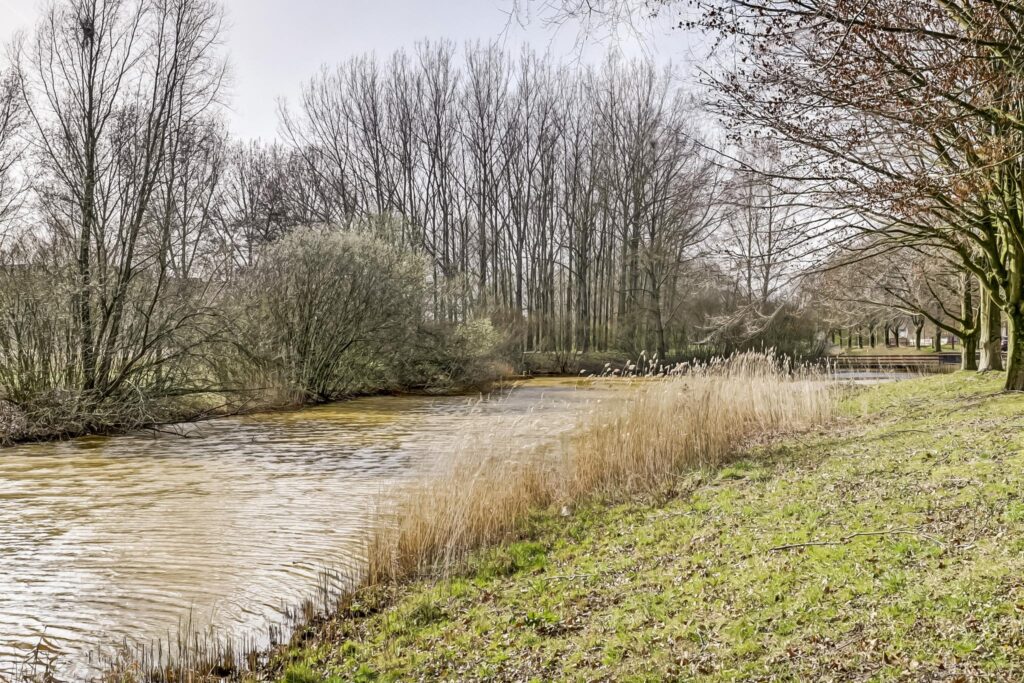 Meindert Hobbemahage 33 – Foto 41