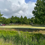 Fresiatuin 12 – Foto 46