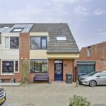 Sneeuwgans 20 – Foto 6