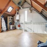 Sneeuwgans 20 – Foto 29