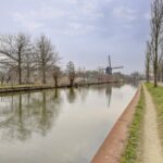 Sneeuwgans 20 – Foto 35