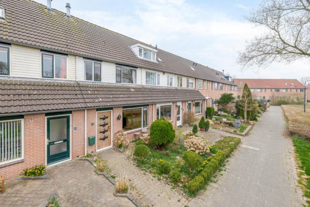 Roerdomp 91 – Hoofdfoto