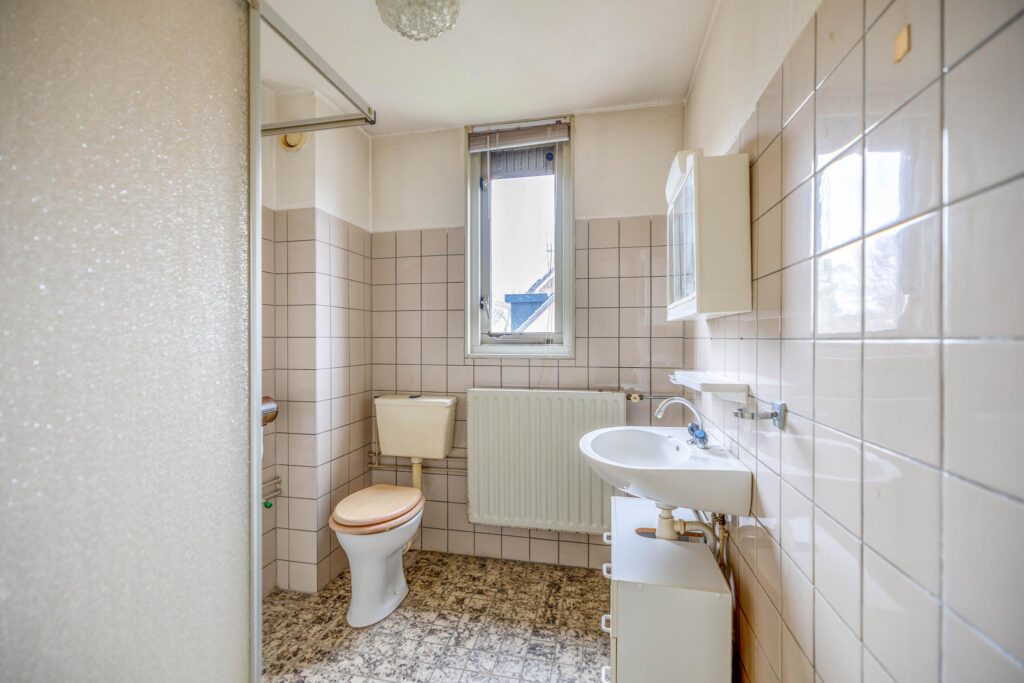 Roerdomp 91 – Foto 22