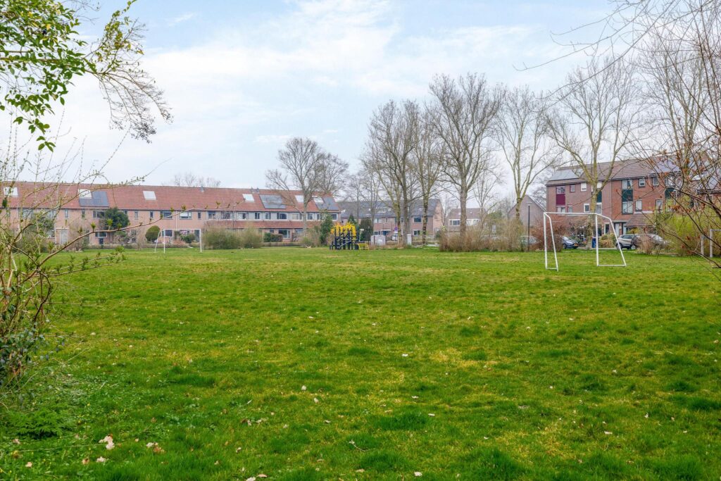 Roerdomp 91 – Foto 31
