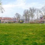 Roerdomp 91 – Foto 31