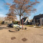 Smient 20 – Foto 5