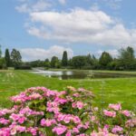 Oud Over 51 – Foto 44