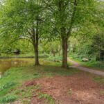 Boomstede 546 – Foto 36