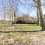 Zebraspoor 124 – Foto