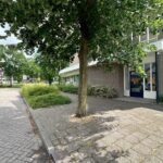 Specht 25 – Foto 29
